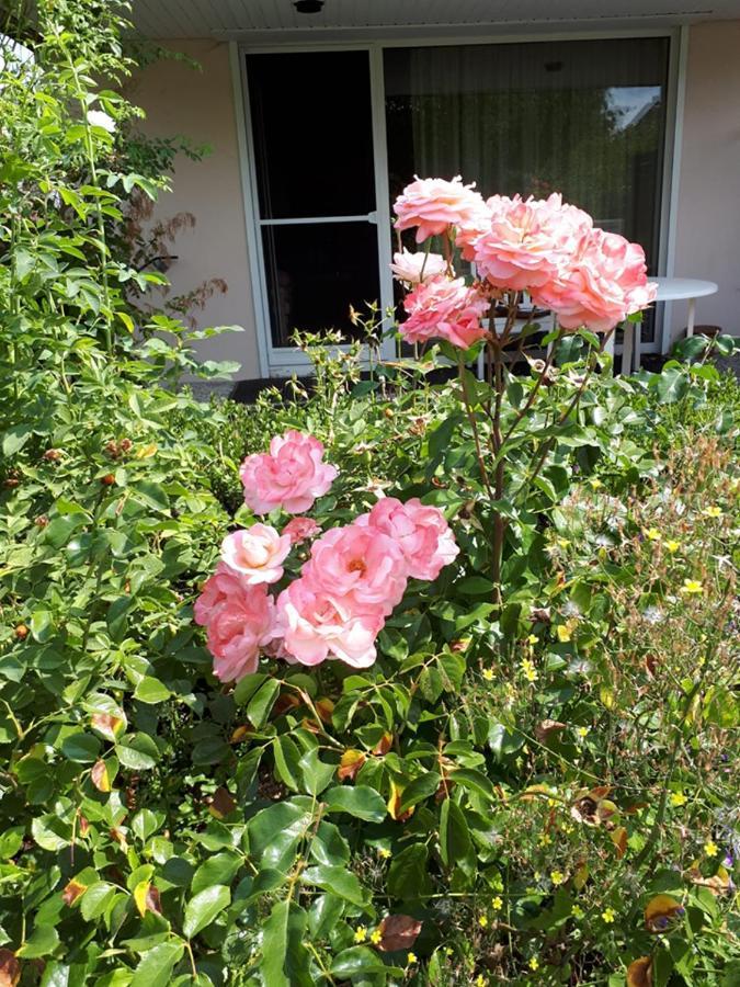 Entire House, Quiet City Location, Garden, Parking Bielefeld Luaran gambar